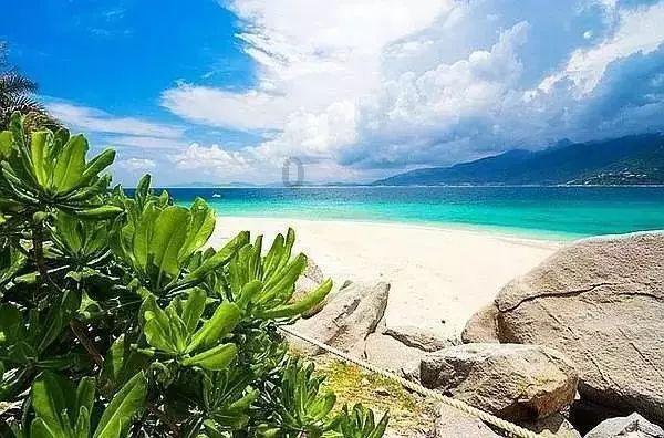 最高升至25℃,局部暴雨+大雾!福建未来一周天气……